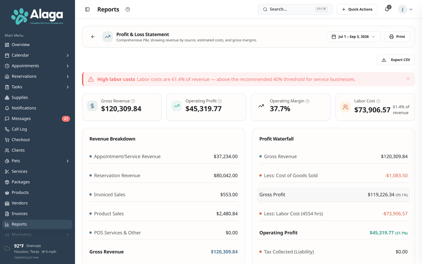 Alaga profit and loss statement with revenue, costs, and margin sections